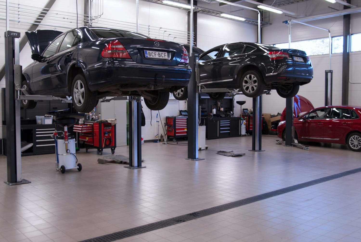 Auto kotka suni diagno web 1