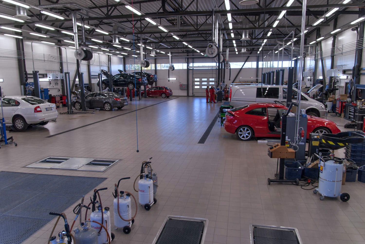 Auto kotka suni diagno web 3