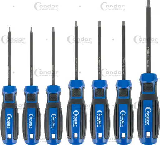 [11901] RUUVIMEISSELISARJA 7 OSAA TORX T10-T40