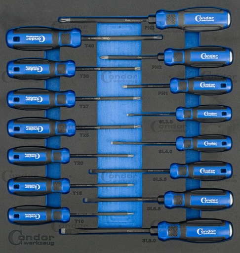 [7260] TORX JA RUUVIMEISSELISARJA 15 OSAA FOAM MODUULI 2/3