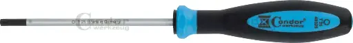 [49325] CONDOR RUUVIMEISSELI, TORX T25X100 MM