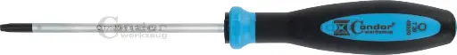 [49320] CONDOR RUUVIMEISSELI TORX T20X100MM