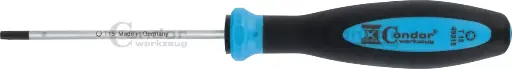 [49315] CONDOR RUUVIMEISSELI TORX T15X80MM