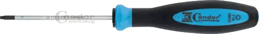 [49310] CONDOR RUUVIMEISSELI TORX T10X80MM