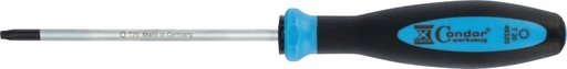 RUUVIMEISSELI, TORX